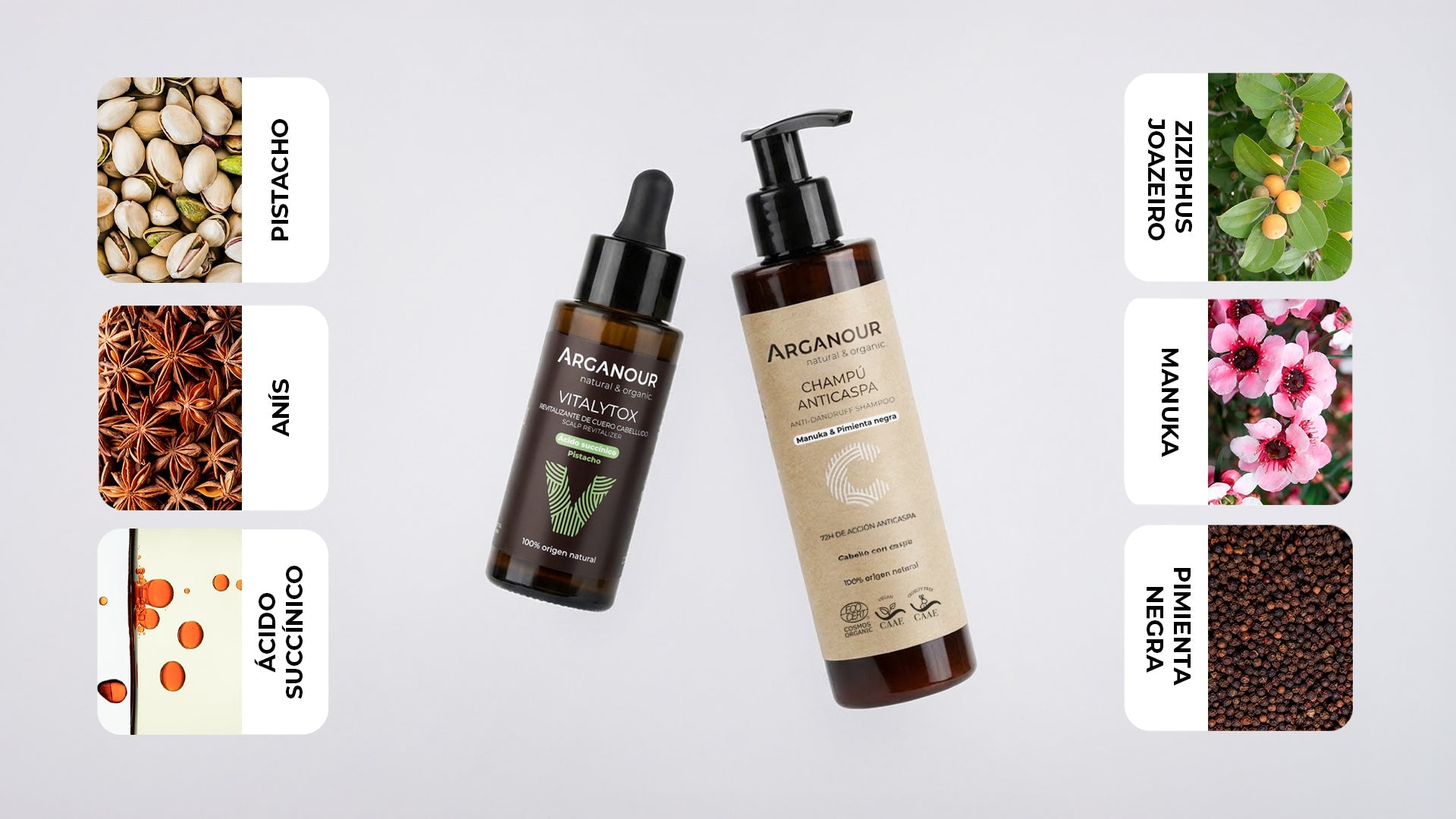 Ingredientes que REALMENTE funcionan contra la caspa