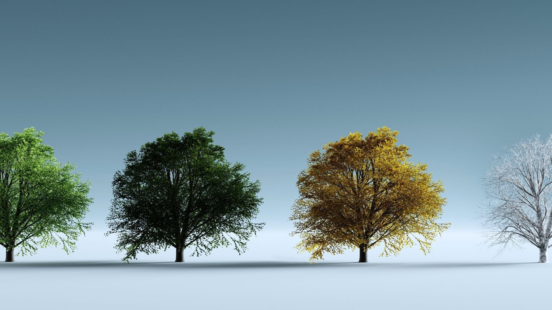 rutina según la estación del año