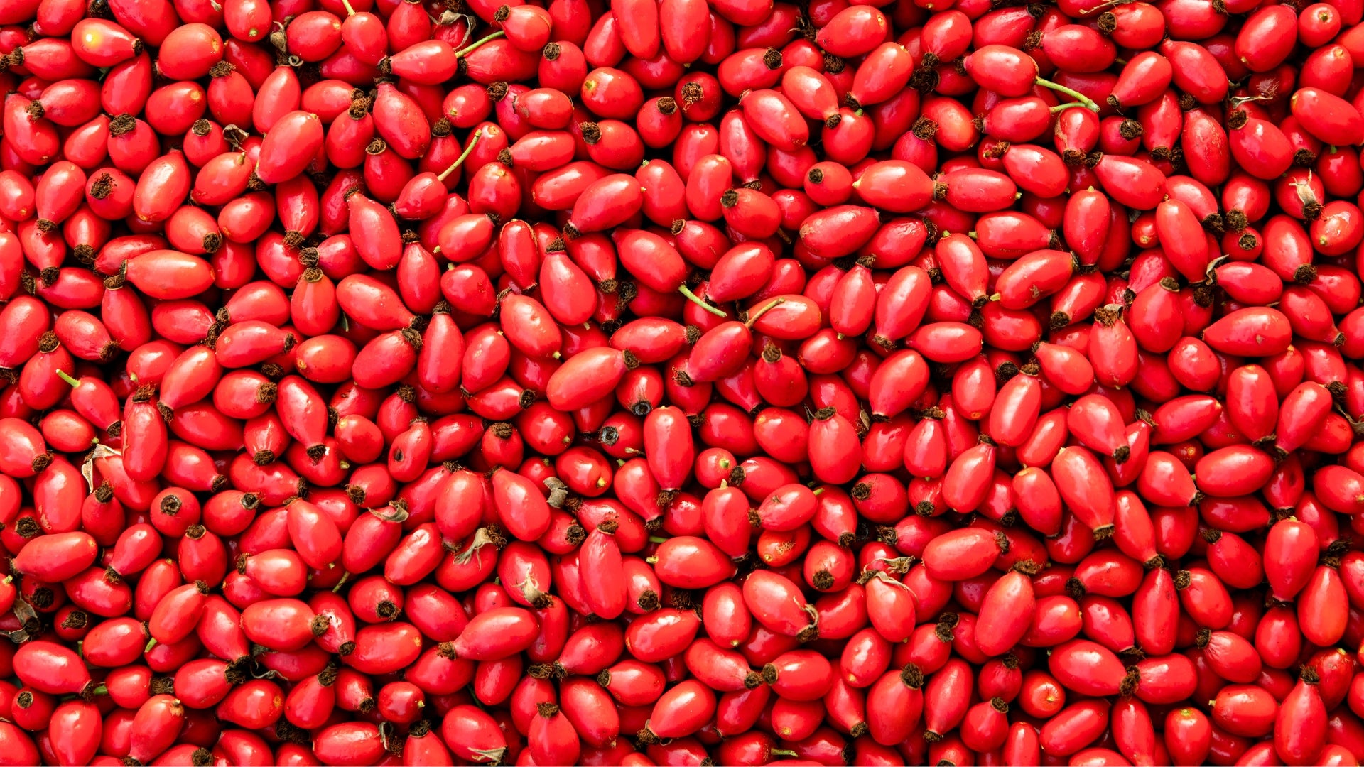 aceite rosa mosqueta