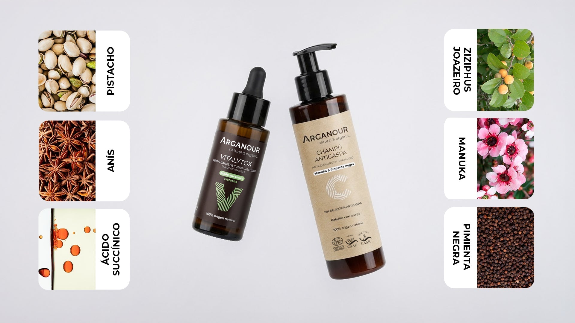 activos-anticaspa-ingredientes