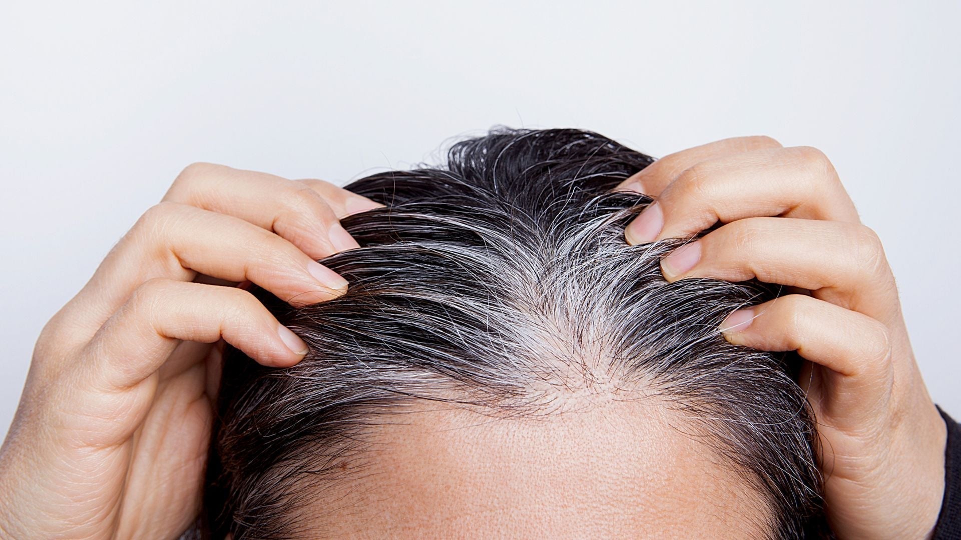 pelo con canas