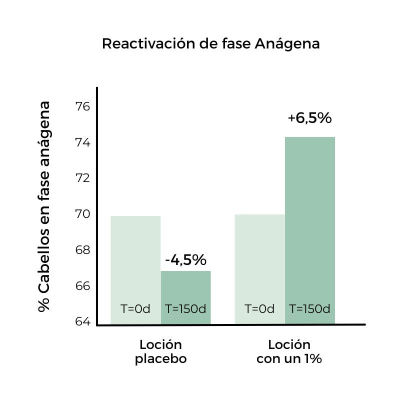 ciclo de vida del pelo